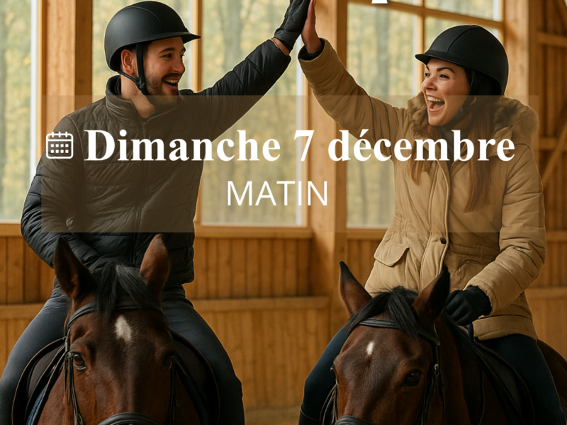 Cours d’équitation en couple